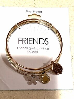 NWT Friends Silver-Plated Charm Bangle Set - silver & gold tone